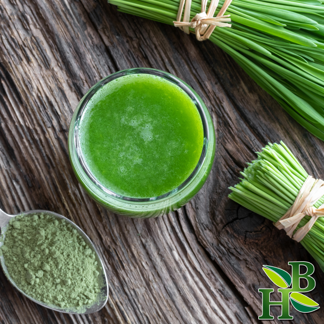 Barley Grass Powder (Alkalizing Supergreen • Detox Support • Energy &amp; Nutrient Boost)