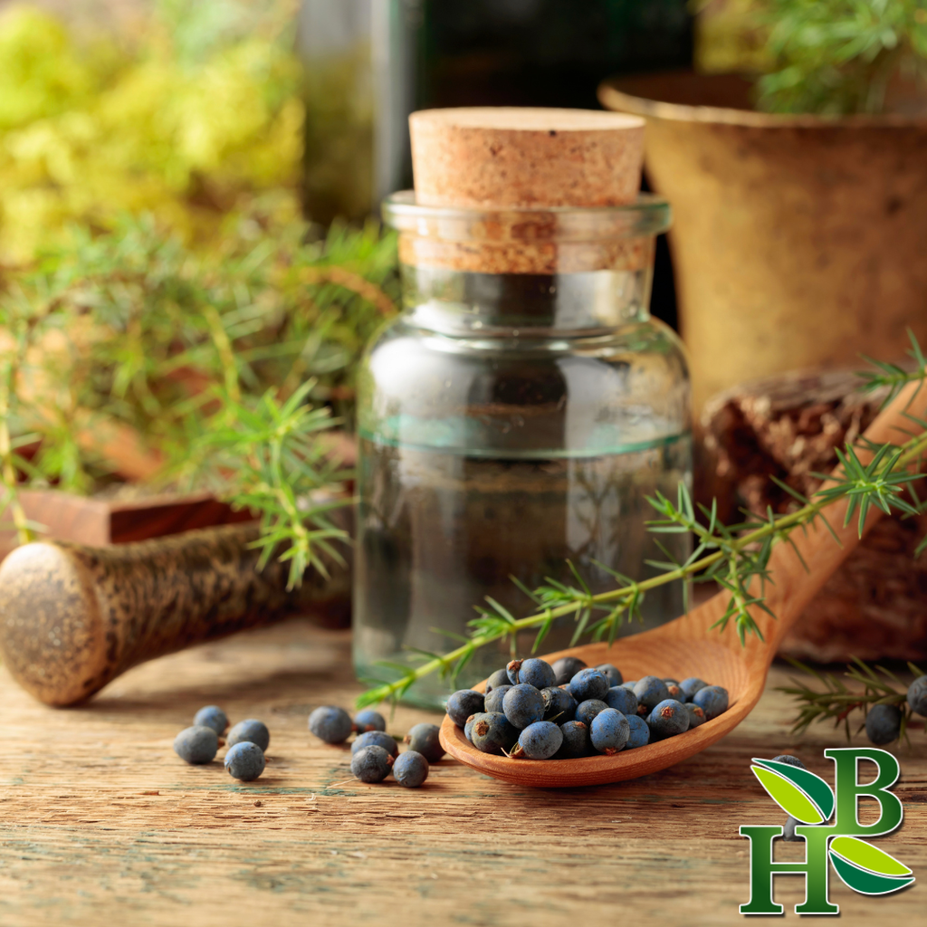 Juniper Berries ( Detoxifer | Bloating | Digestion | Kidney)
