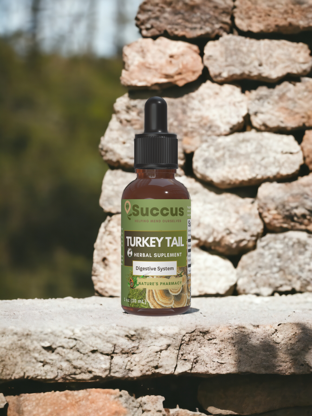 Turkey Tail Tincture - Wild-Harvested Mushroom Extract: Alcohol Free / 1 fl oz