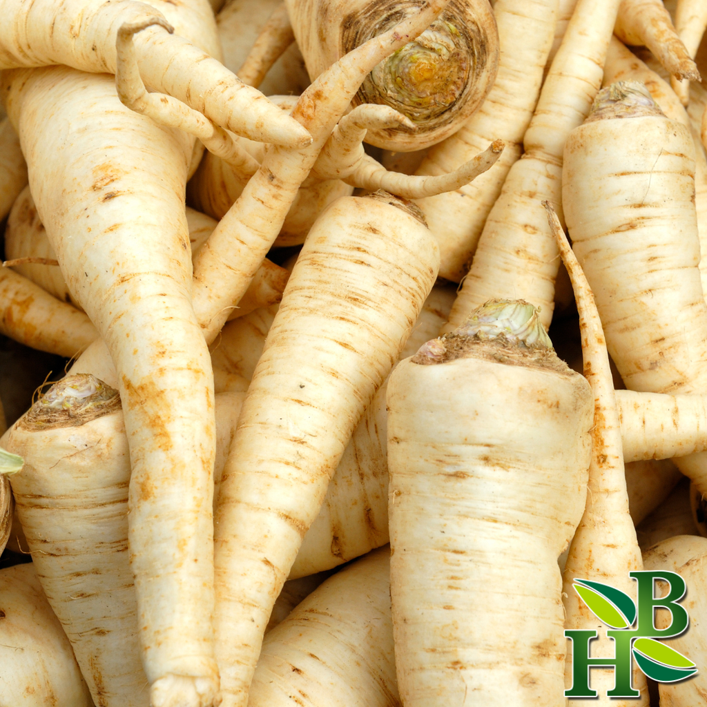 Parsley Root ( Kidney Cleanse • Digestive Aid • Rich in Minerals )