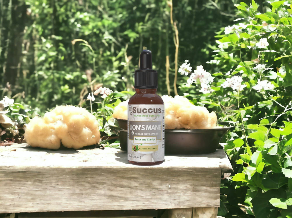 Lion's Mane Tincture - Brain Health & Mental Clarity: Alcohol Free / 1 fl oz