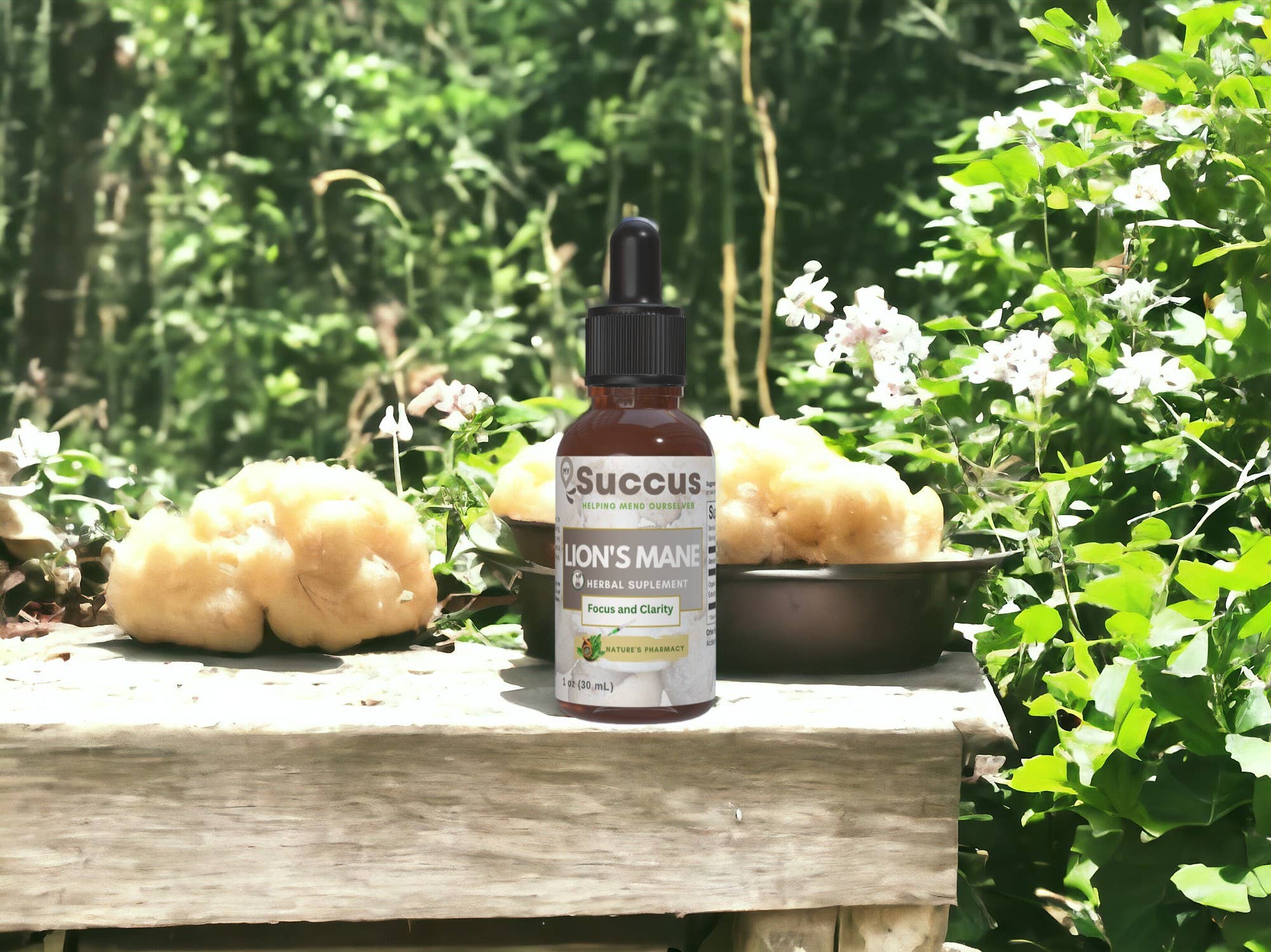 Lion's Mane Tincture - Brain Health & Mental Clarity: Alcohol Free / 1 fl oz
