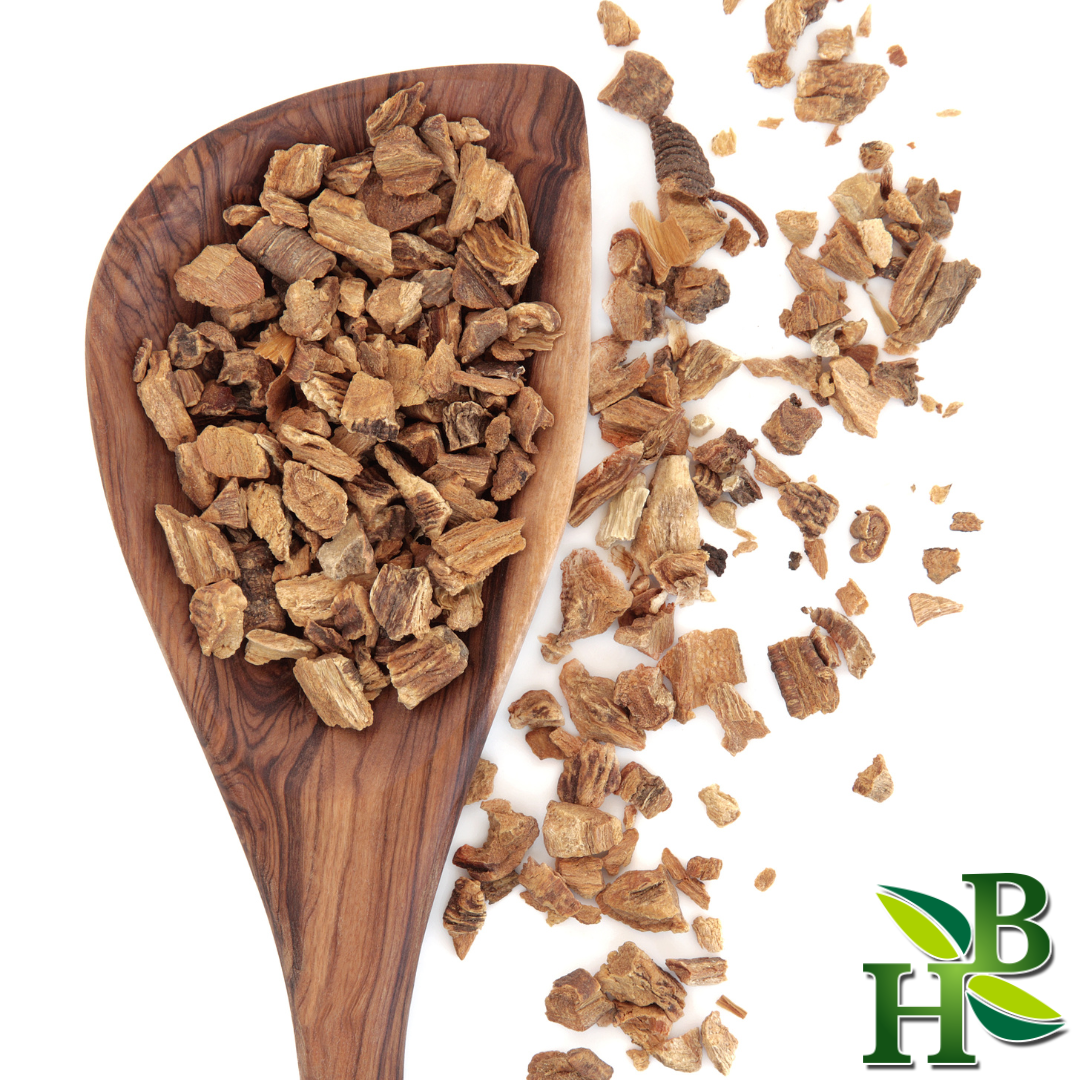 Gentian Root