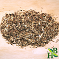 Nettle Root
