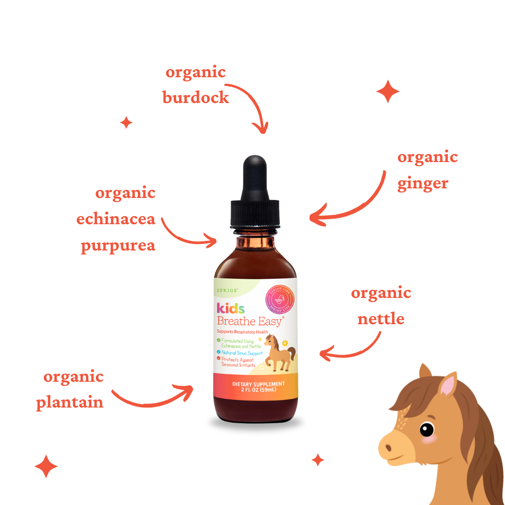 Kids Breathe Easy – Herbal Respiratory, Sinus & Seasonal Wellness Support | 2 oz