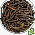 Hwentia Whole (Grains of Selim) | Traditional African Spice & Herbal Support
