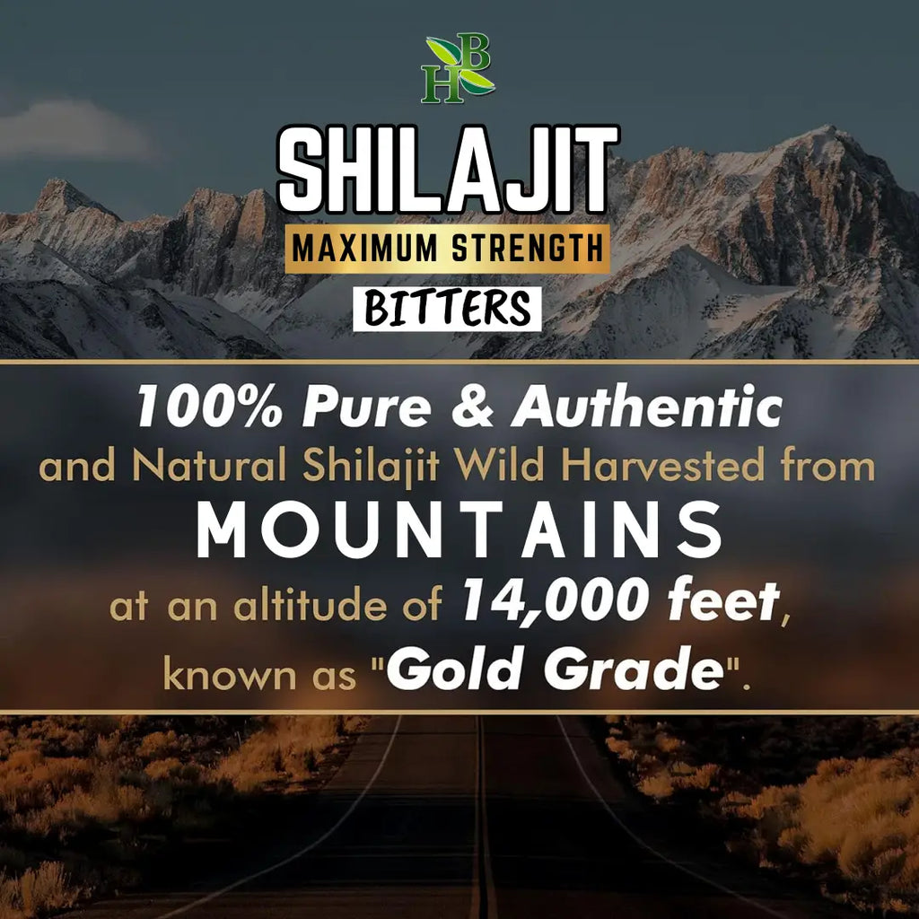 Shilajit Vitality Bitters | Energy, Strength & Mineral-Rich Performance Support (16oz)