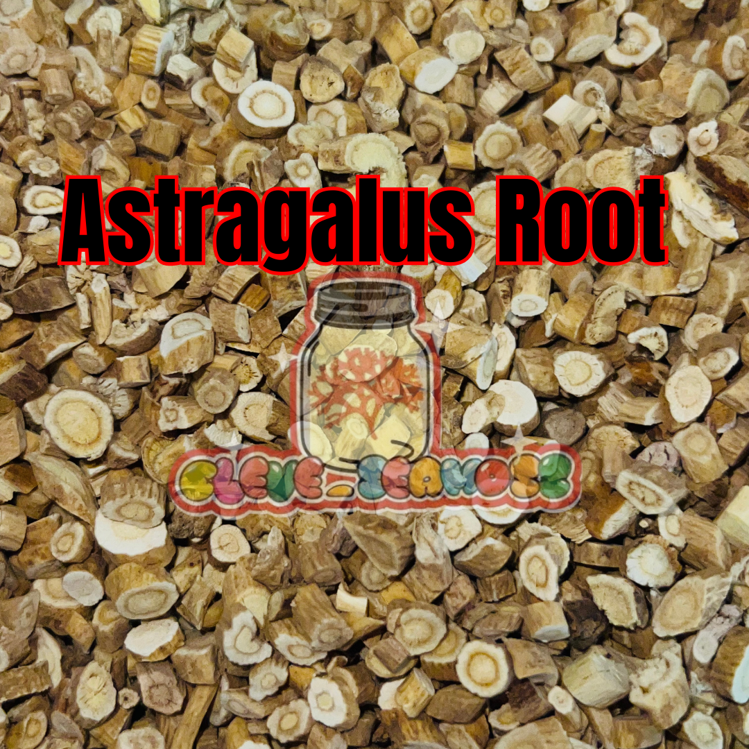 Astragalus Root