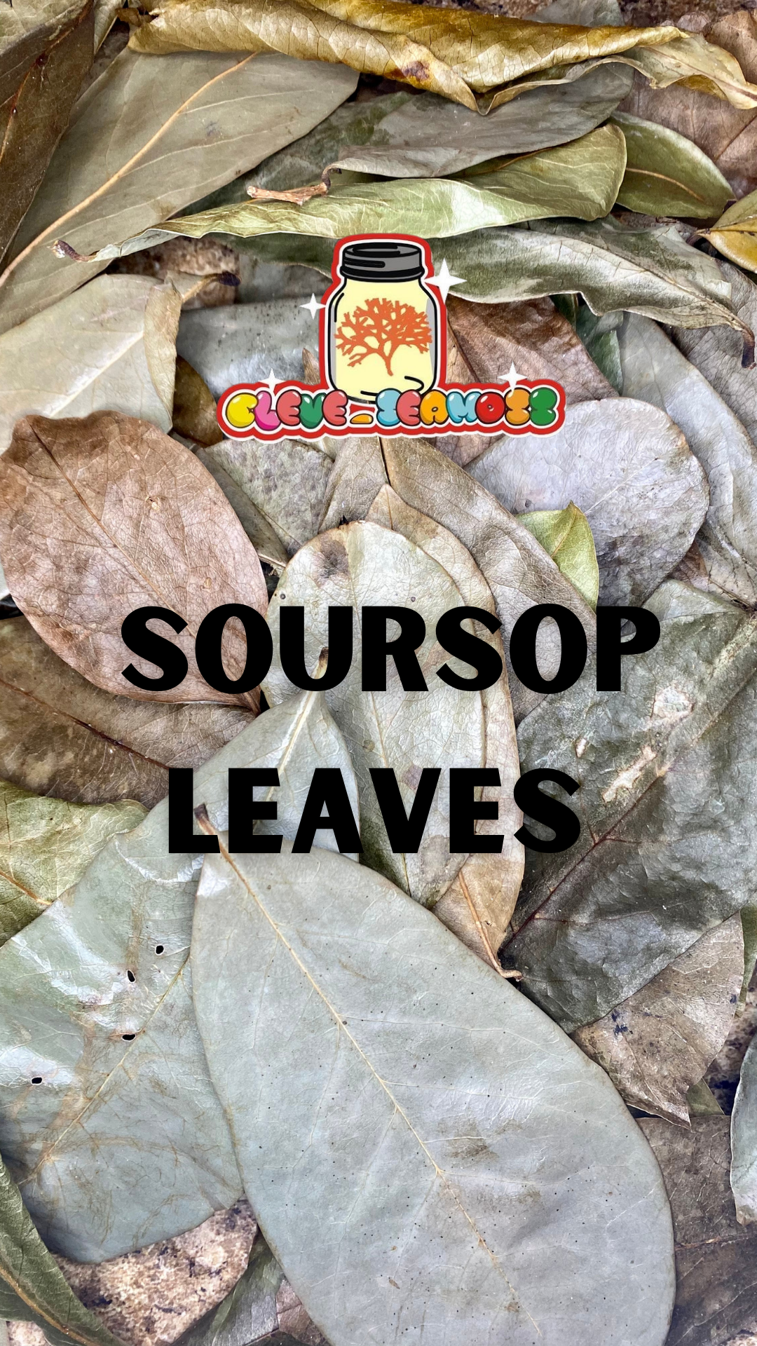Soursop Leaves | St. Lucian