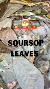 Soursop Leaves | St. Lucian