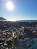 Wildcrafted Bladderwrack | Raw