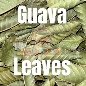 Guava Leaves | St. Lucia