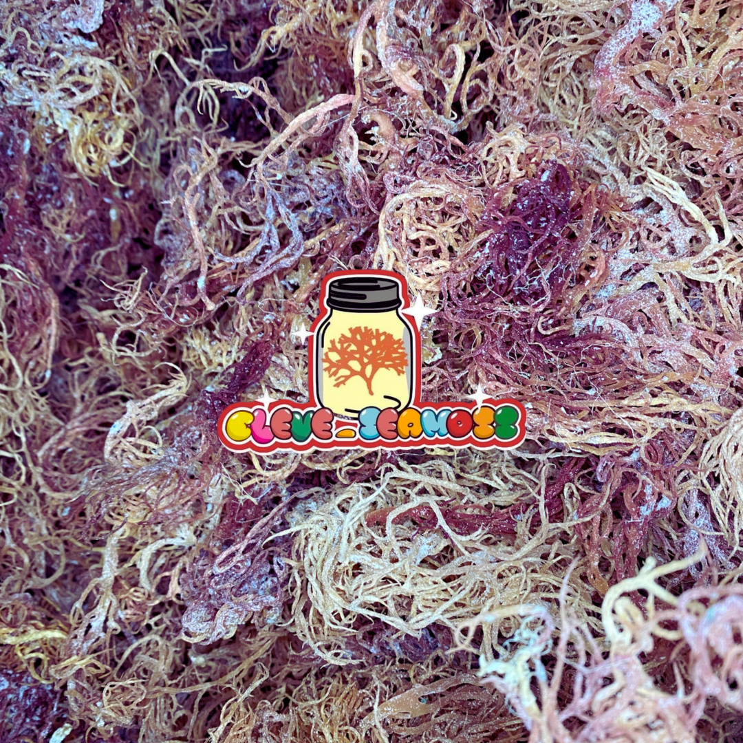 Pink Sea Moss | St. Lucia