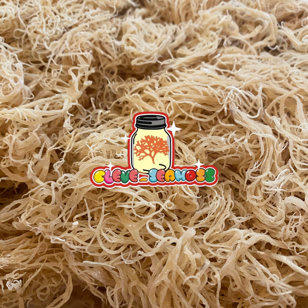 Gold Sea Moss (Grade A) | Mineral-Rich Raw Sea Moss (St. Lucia)