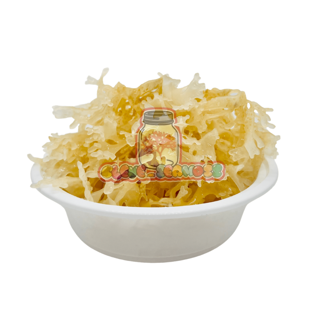 Gold Sea Moss | Wildcrafted Chondrus Crispus from Peru