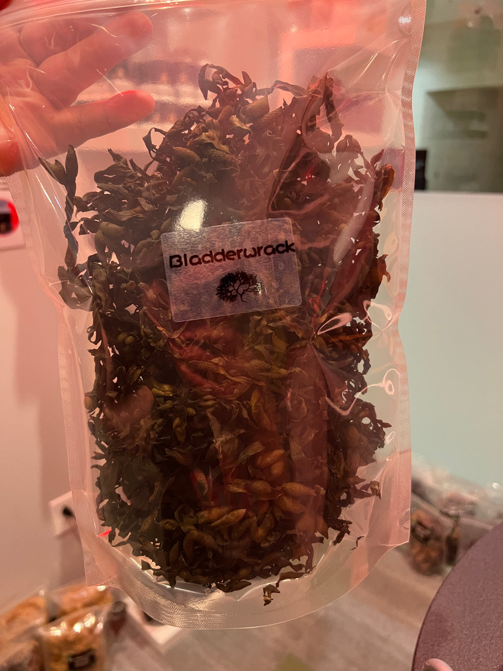 Wildcrafted Bladderwrack | Raw