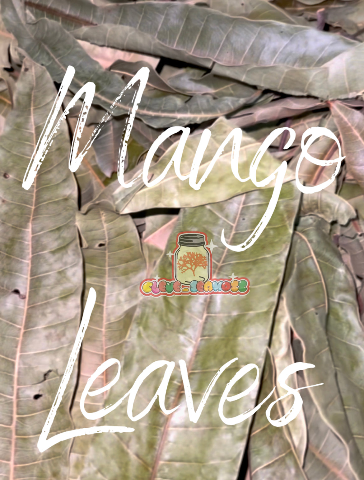 Mango Leaves | Saint Lucia
